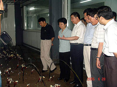 新太阳城游戏