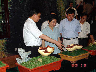 新太阳城游戏